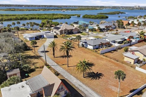 Land in Port Orange, Florida № 2108496 - photo 10