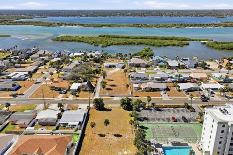 Land in Port Orange, Florida № 2108496 - photo 20