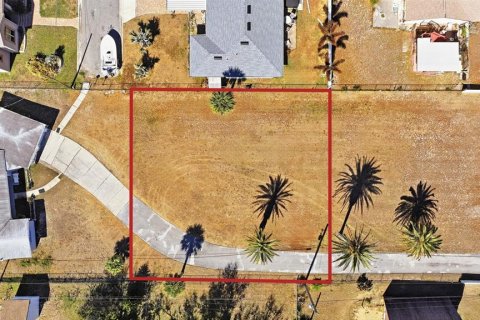 Land in Port Orange, Florida № 2108496 - photo 11