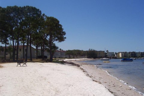 Condo in Dunedin, Florida, 2 bedrooms  № 1819043 - photo 27