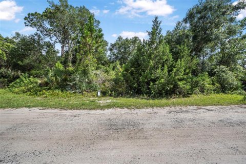 Land in Oak Hill, Florida № 1827213 - photo 13
