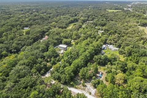 Land in Oak Hill, Florida № 1827213 - photo 8