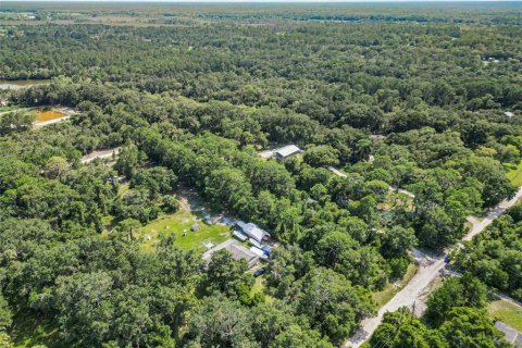Land in Oak Hill, Florida № 1827213 - photo 10