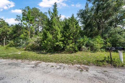 Land in Oak Hill, Florida № 1827213 - photo 1