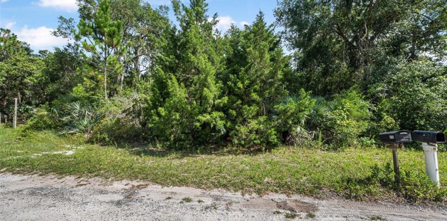 Land in Oak Hill, Florida № 1827213