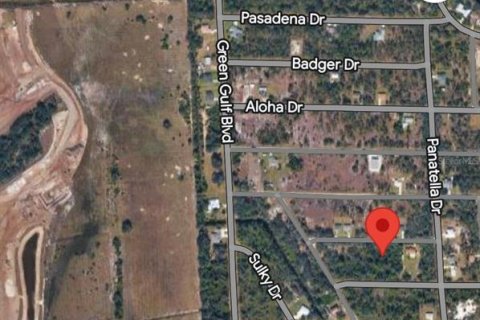 Land in Punta Gorda, Florida № 2160098 - photo 2