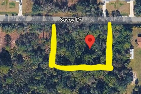 Land in Punta Gorda, Florida № 2160098