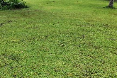 Casa en venta en Brooksville, Florida, 3 dormitorios, 132.48 m2 № 2321111 - foto 13