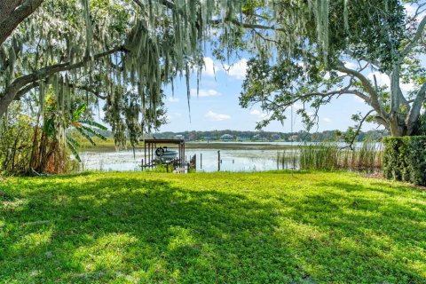 Villa ou maison à louer à Windermere, Floride: 3 chambres, 125.7 m2 № 2410649 - photo 4
