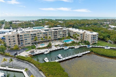 Estudio en el Condominio en Tavernier, Florida  № 2040689