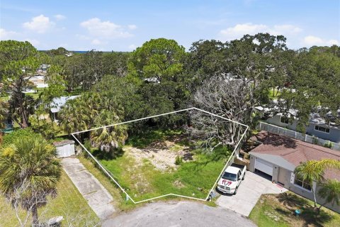 Land in New Port Richey, Florida № 2163385