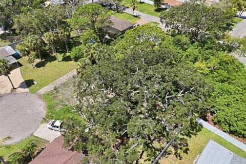Land in New Port Richey, Florida № 2163385 - photo 4