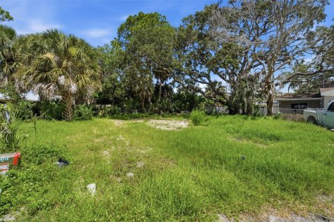 Land in New Port Richey, Florida № 2163385 - photo 5