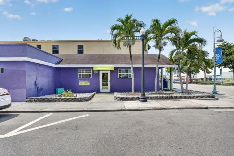 Villa ou maison à vendre à Hollywood, Floride: 7 chambres, 282.42 m2 № 2279408 - photo 7