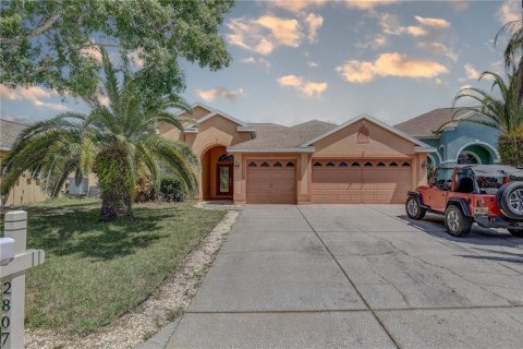 House in Holiday, Florida 4 bedrooms, 203.27 sq.m. № 1912861 - photo 1