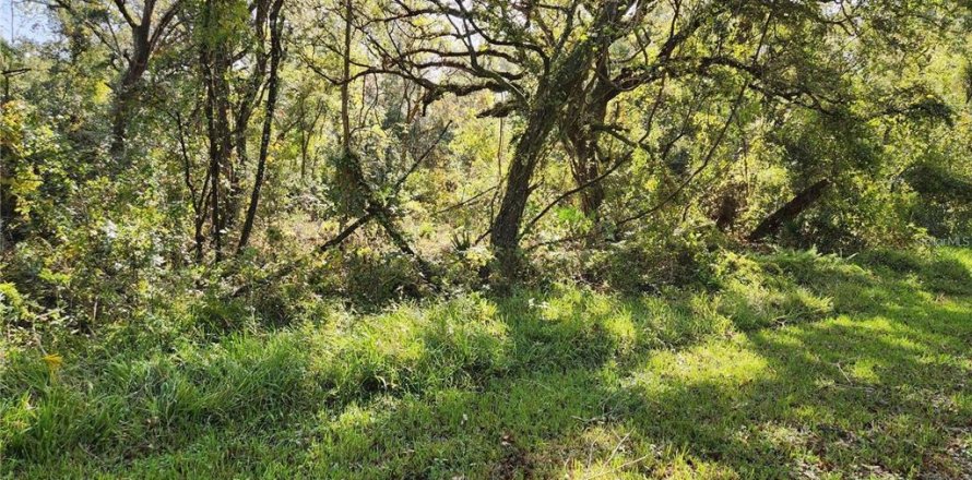 Land in Webster, Florida № 2165141