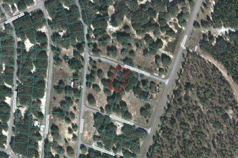 Land in Ocklawaha, Florida № 2212577