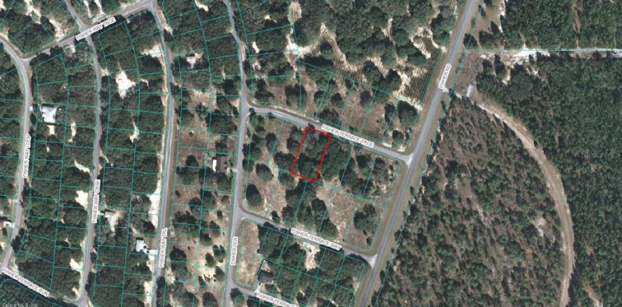 Land in Ocklawaha, Florida № 2212577
