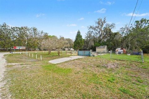 Land in Dade City, Florida № 2164850 - photo 9