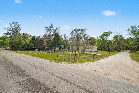Land in Dade City, Florida № 2164850 - photo 12