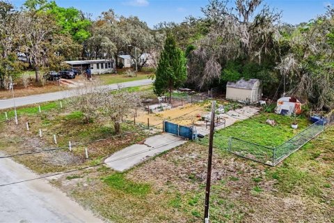 Land in Dade City, Florida № 2164850 - photo 6