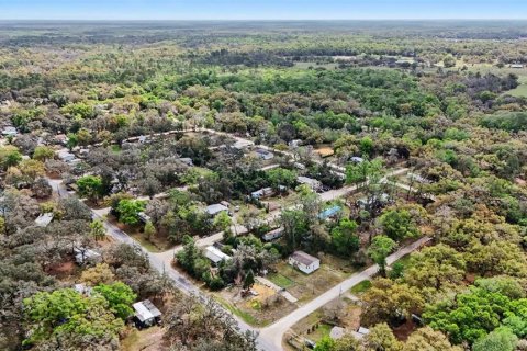 Land in Dade City, Florida № 2164850 - photo 13
