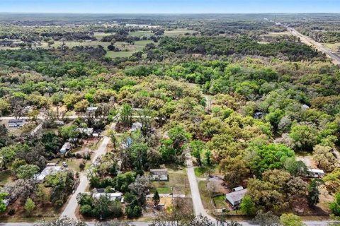 Land in Dade City, Florida № 2164850 - photo 4