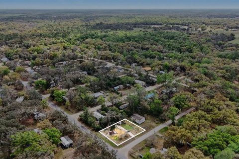 Land in Dade City, Florida № 2164850 - photo 17