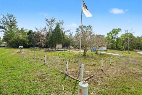 Land in Dade City, Florida № 2164850 - photo 10