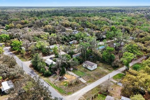 Land in Dade City, Florida № 2164850 - photo 3