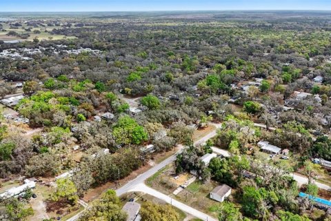 Land in Dade City, Florida № 2164850 - photo 15