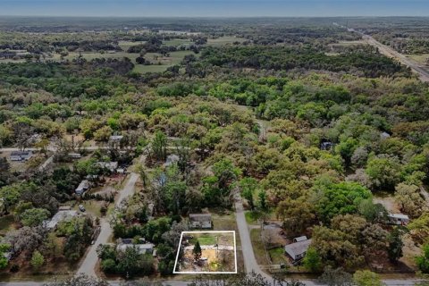 Land in Dade City, Florida № 2164850 - photo 16