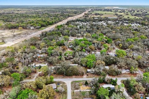 Land in Dade City, Florida № 2164850 - photo 8