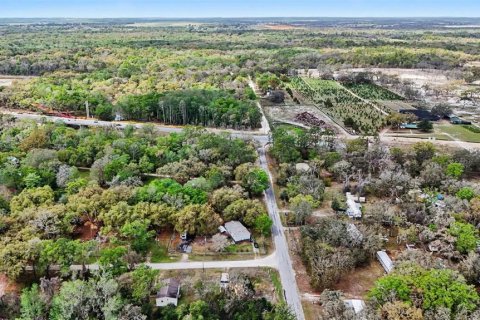 Land in Dade City, Florida № 2164850 - photo 11