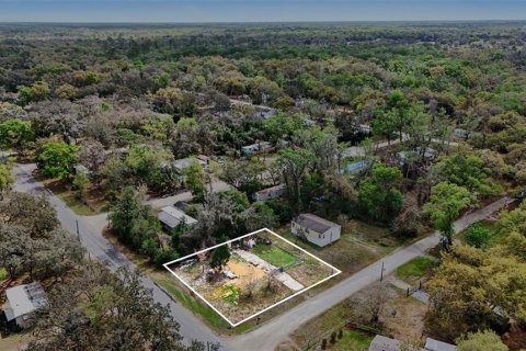 Land in Dade City, Florida № 2164850