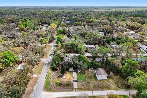 Land in Dade City, Florida № 2164850 - photo 2