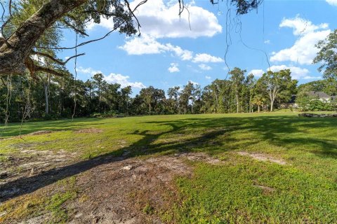 Terrain à vendre à Ocala, Floride № 1906442 - photo 9