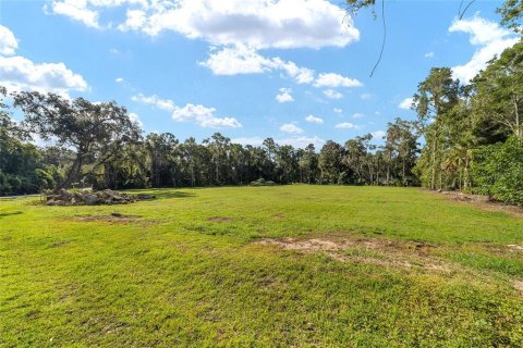 Terrain à vendre à Ocala, Floride № 1906442 - photo 11