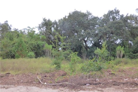 Propiedad comercial en venta en Fruitland Park, Florida № 627622 - foto 19