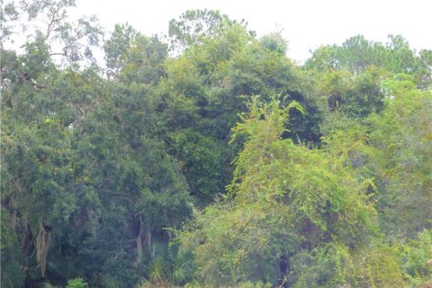 Propiedad comercial en venta en Fruitland Park, Florida № 627622 - foto 18