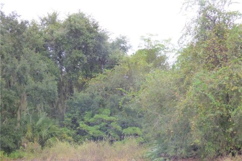 Propiedad comercial en venta en Fruitland Park, Florida № 627622 - foto 16