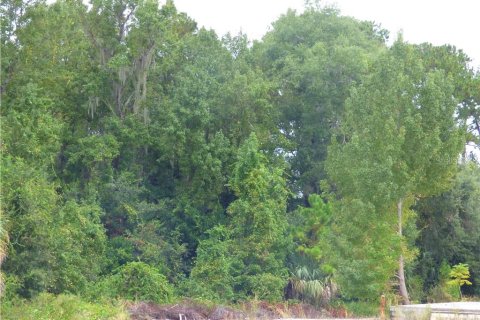 Propiedad comercial en venta en Fruitland Park, Florida № 627622 - foto 17