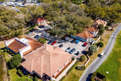 Commercial property in Lady Lake, Florida 329.99 sq.m. № 2212843 - photo 3