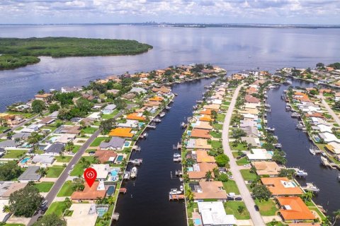 Villa ou maison à vendre à Saint Petersburg, Floride: 4 chambres, 201.97 m2 № 1337275 - photo 5