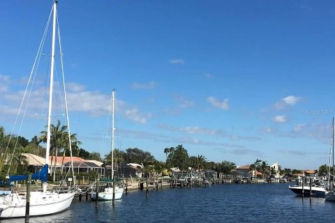 Villa ou maison à vendre à Saint Petersburg, Floride: 4 chambres, 201.97 m2 № 1337275 - photo 30