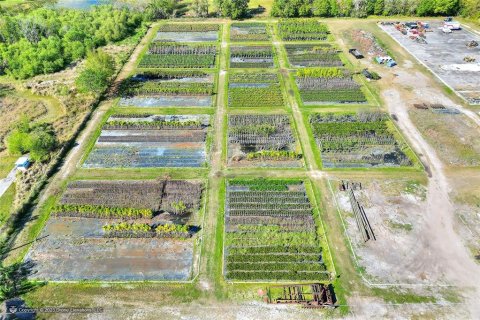 Land in Lakeland, Florida № 1251480 - photo 13