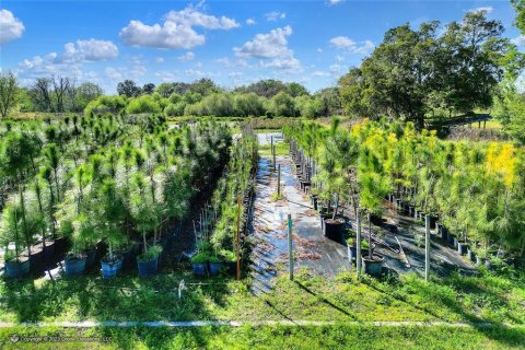 Land in Lakeland, Florida № 1251480 - photo 16