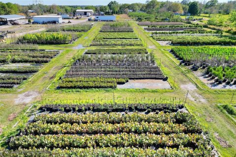 Land in Lakeland, Florida № 1251480 - photo 12