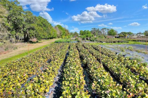 Land in Lakeland, Florida № 1251480 - photo 15