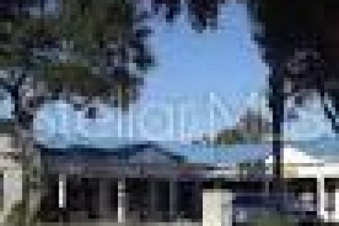 Immobilier commercial à New Smyrna Beach, Floride № 2299160